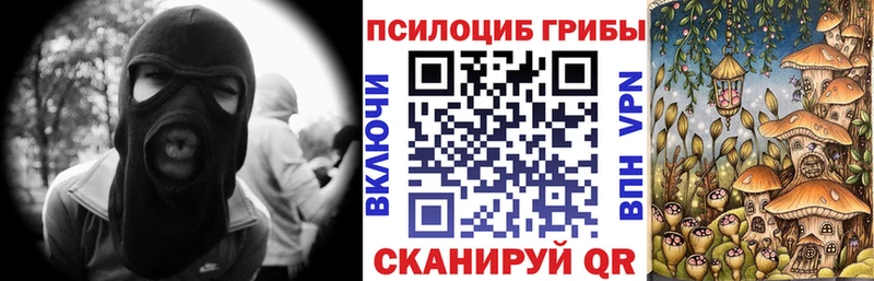 Галлюциногенные грибы Magic Shrooms  Купить закладки  Анжеро-Судженск 